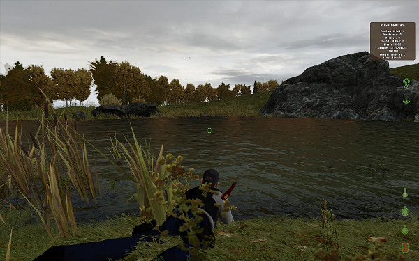 The pond by Zelenogorsk