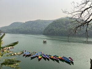 A pond in Pokhara with colorful boats and a banana plant hanging in the foreground. #WPNP2025
